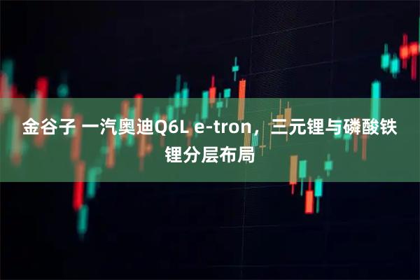 金谷子 一汽奥迪Q6L e-tron，三元锂与磷酸铁锂分层布局
